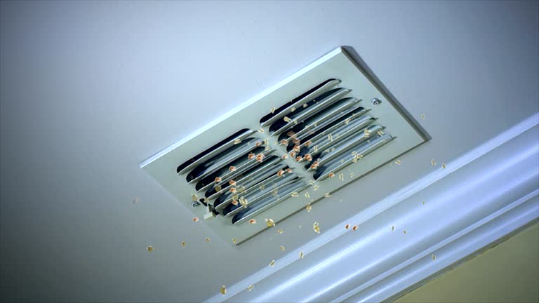 Best Air Duct Cleaning Near Me  in Jackson, AL