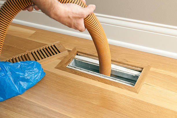 Air Duct Mold Removal in AL