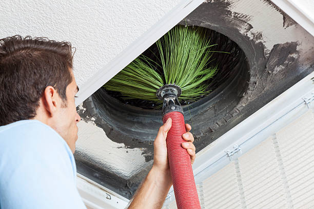 Best Ductwork Cleaning Services  in Jackson, AL