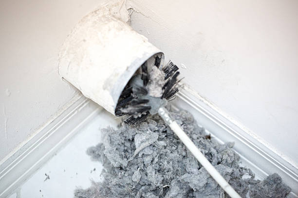 Best Air Vent Cleaning Services  in Jackson, AL