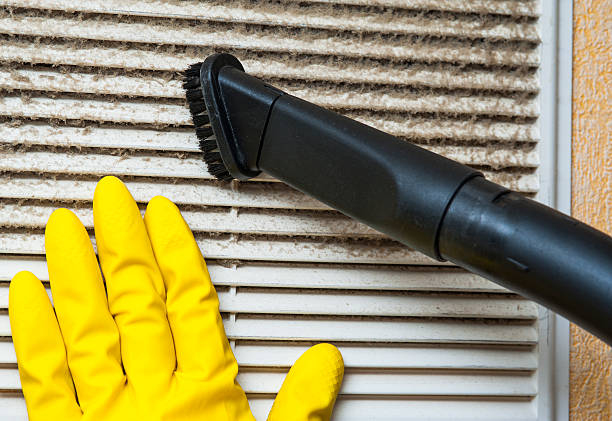 Best Professional Duct Cleaning Services  in Jackson, AL